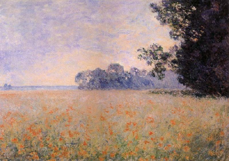 Claude Monet Oat and Poppy Field Spain oil painting art